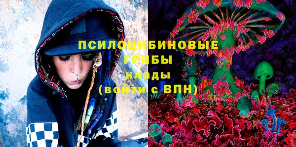 тгк Надым