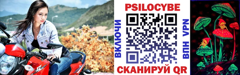 как найти наркотики  Энем  Галлюциногенные грибы MAGIC MUSHROOMS 